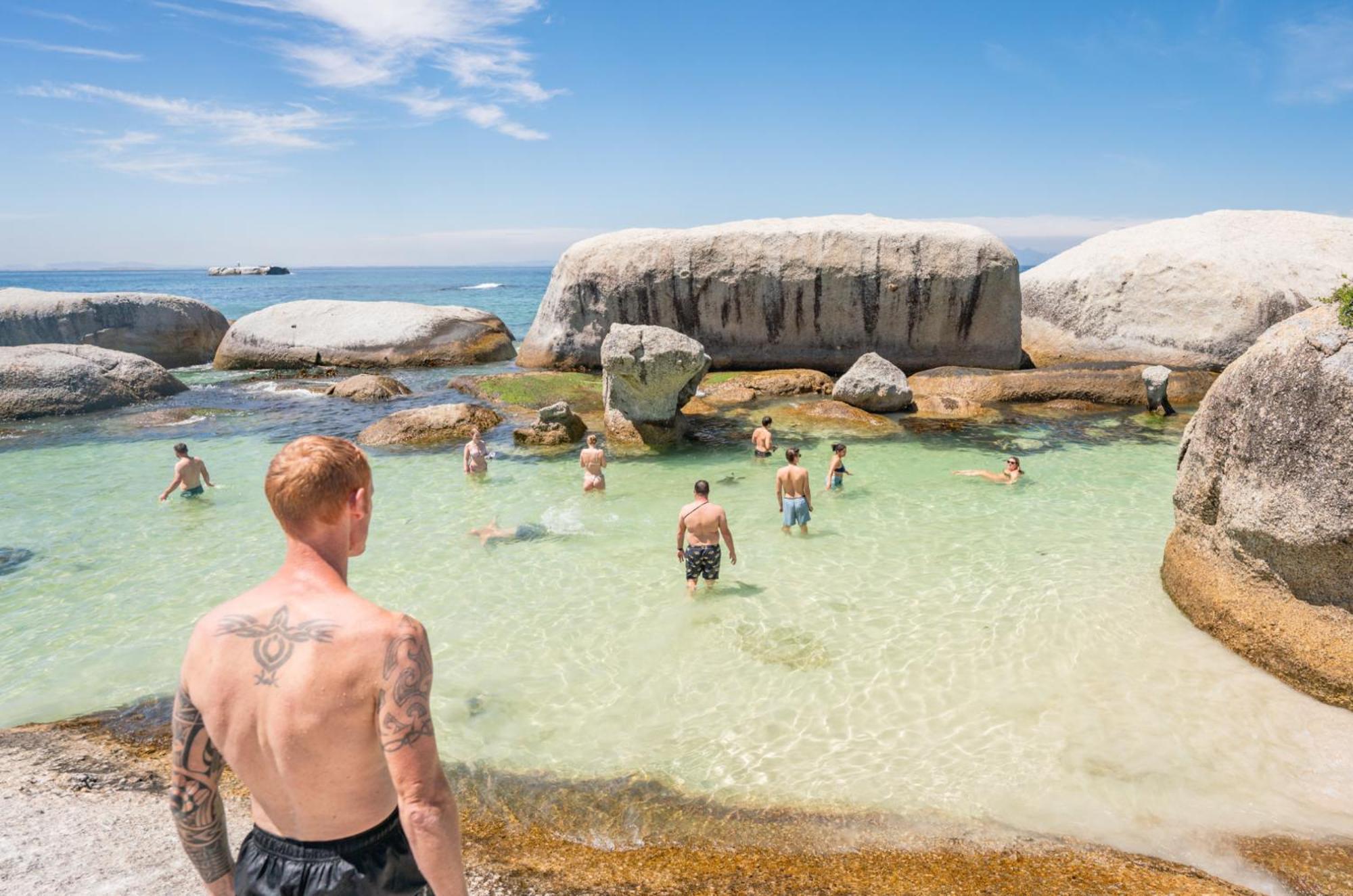 Never At Home Green Point Kapstaden Exteriör bild Swimming at Boulders Beach